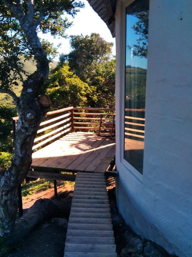 Wildview Self Catering Cottages Coffee Bay, Breakfast & Wi-Fi Inc Eksteriør bilde