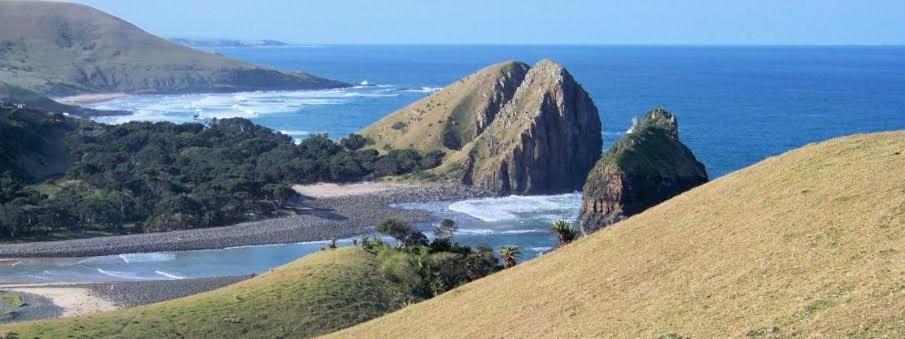 Wildview Self Catering Cottages Coffee Bay, Breakfast & Wi-Fi Inc Eksteriør bilde