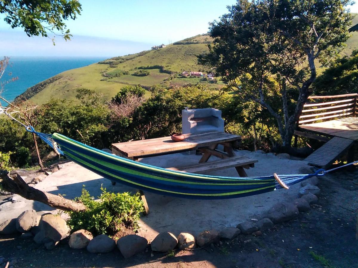 Wildview Self Catering Cottages Coffee Bay, Breakfast & Wi-Fi Inc Eksteriør bilde