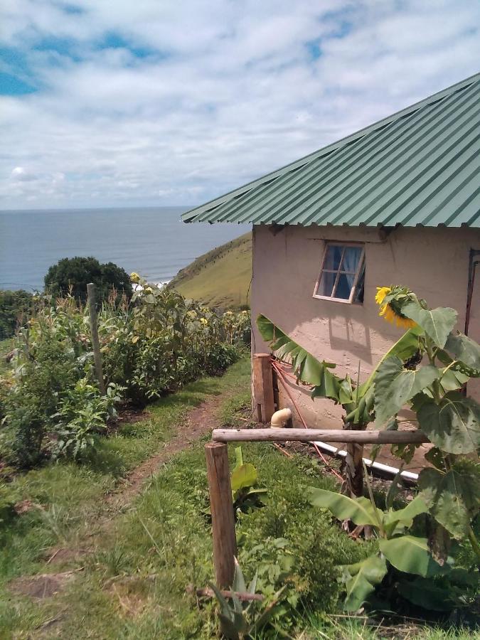 Wildview Self Catering Cottages Coffee Bay, Breakfast & Wi-Fi Inc Eksteriør bilde